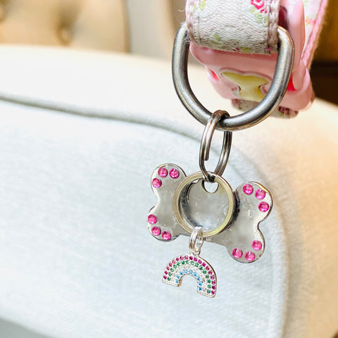 Rainbow keyring /pet tag charms