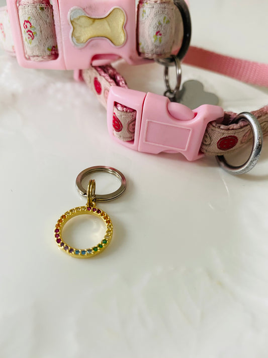 Rainbow keyring /pet tag charms