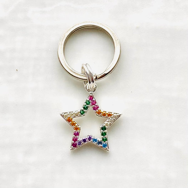 Rainbow keyring /pet tag charms