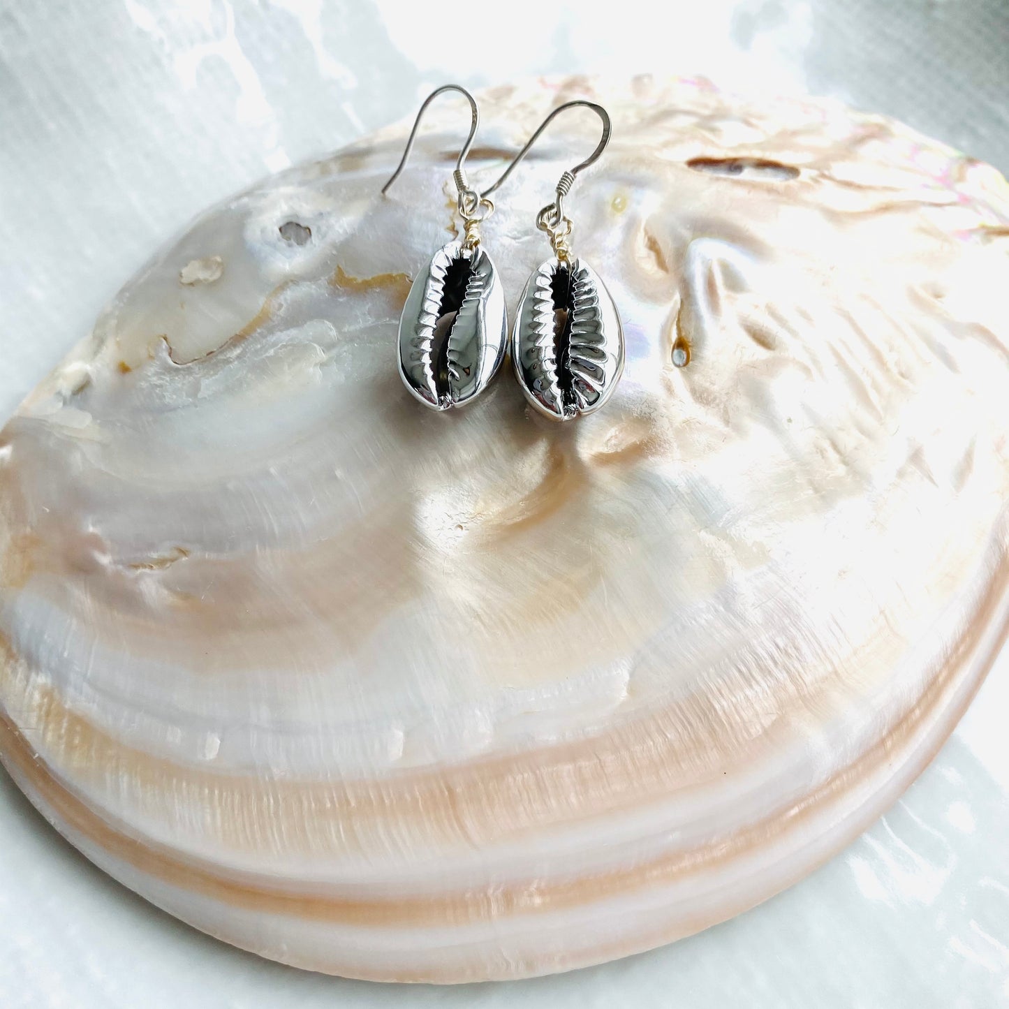 Cowrie shell earrings