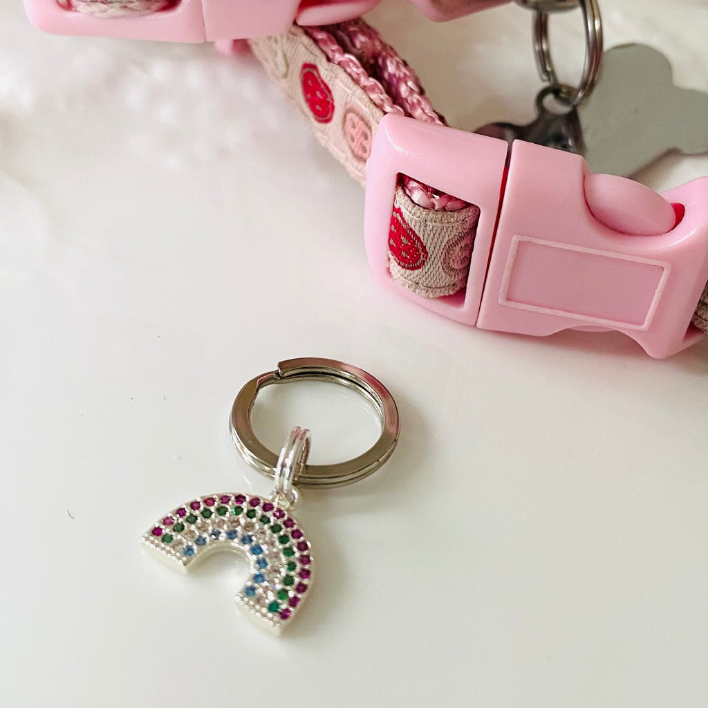 Rainbow keyring /pet tag charms