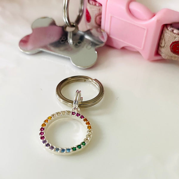 Rainbow keyring /pet tag charms